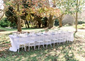 White Tiffany Chairs