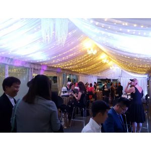 Fairy Lights for 10m x 9m Structure