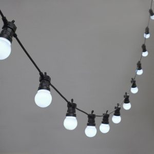 Festoon Lights - Cool White