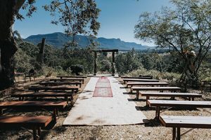 Rustic Timber Bench Seats