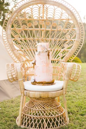 Peacock Chair