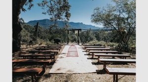 Rustic Timber Bench Seats